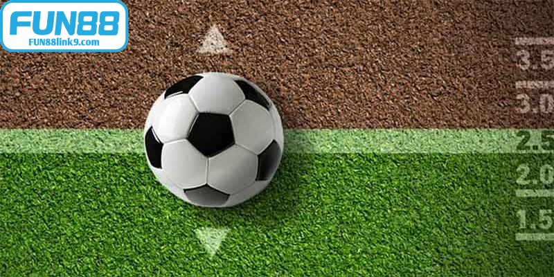 Tổng hợp các loại cược Tài Xỉu bóng đá phổ biến nhất